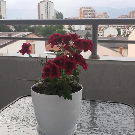 Ballet Skopje