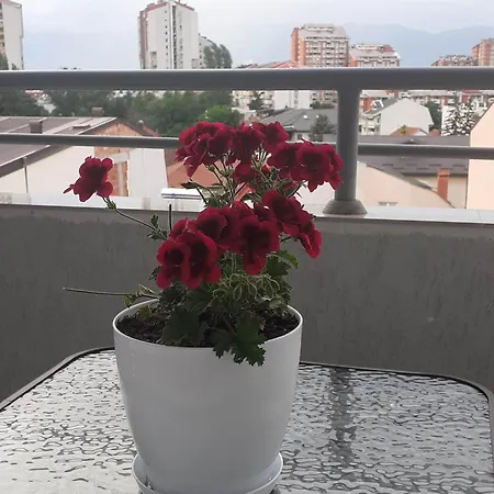 Ballet Apartamento